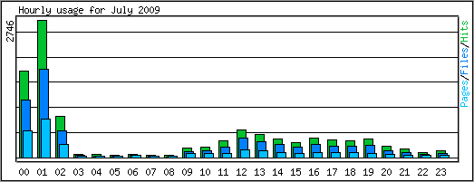 Hourly usage